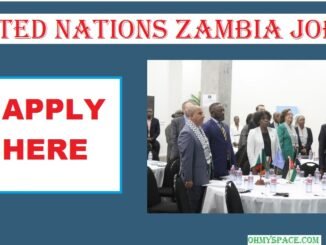 United Nations Zambia Job