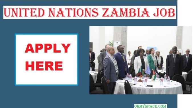 United Nations Zambia Job