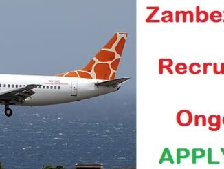Zambezi Airline Job