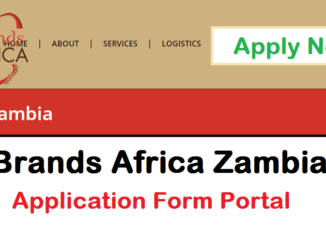 Brands Africa Zambia Job