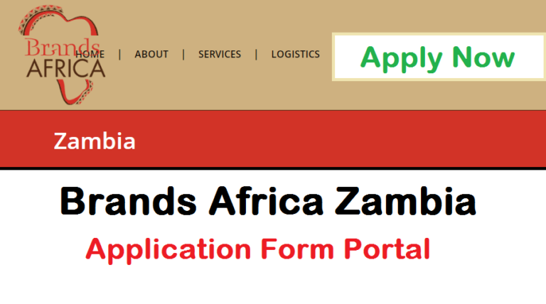 Brands Africa Zambia Job