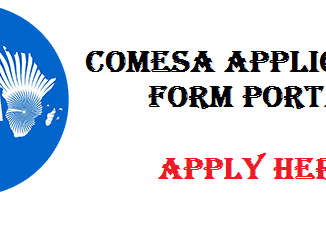 COMESA Recruitment