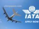 IATA Recruitment