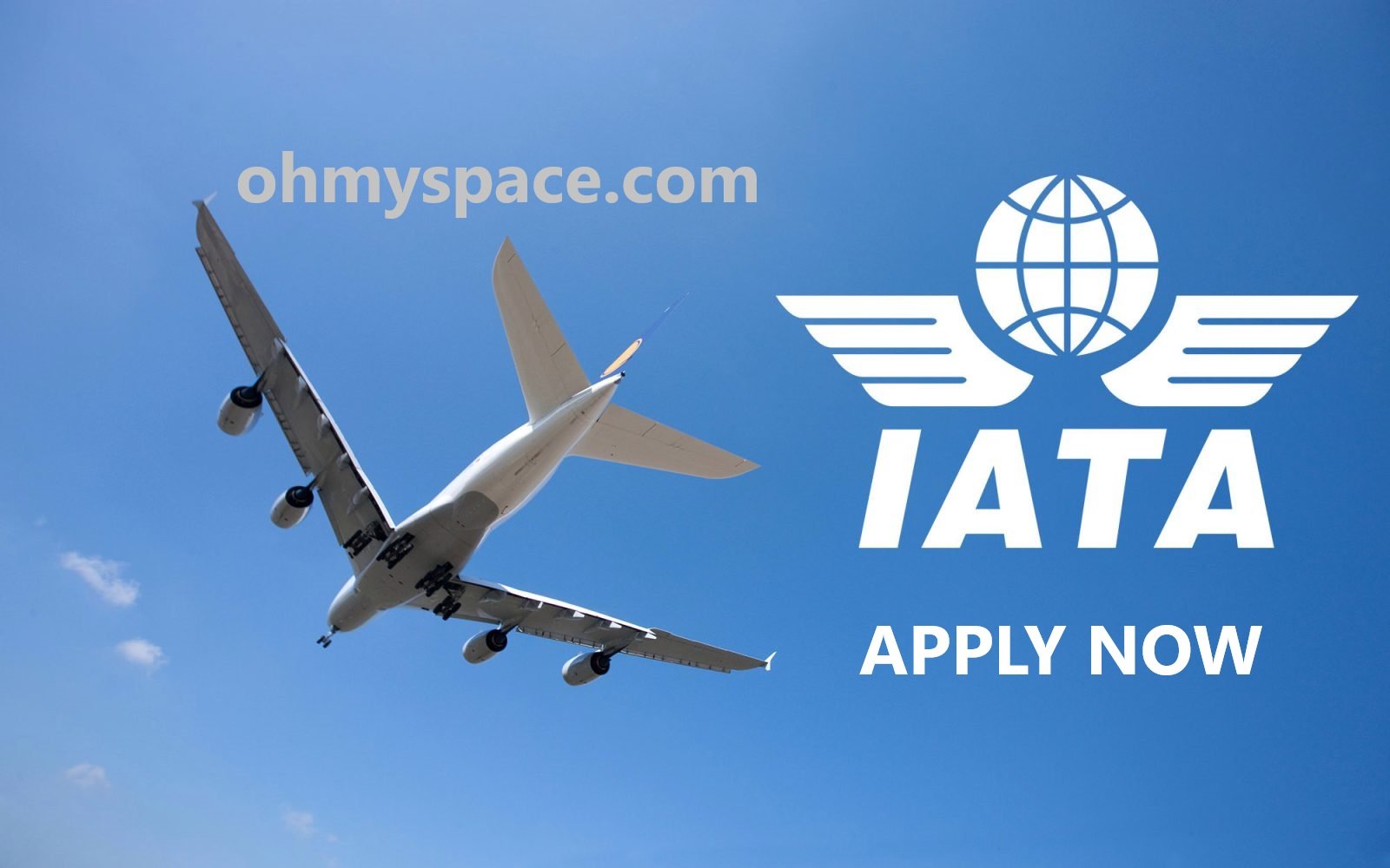 IATA Recruitment