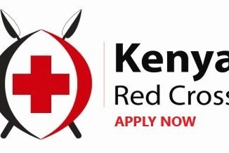 Kenya Red Cross Recruitment